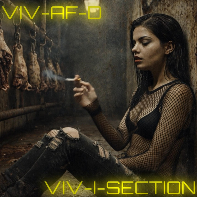VIV-I-SECTION cover